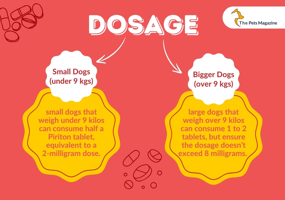 Piriton For Dogs_ Dosage