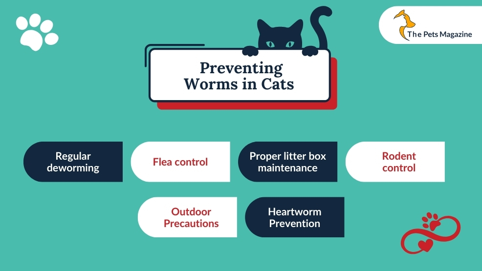 Preventing worms in cats