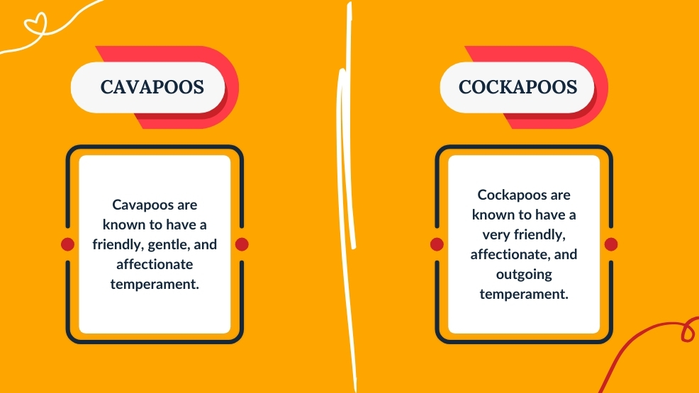 Temperament And Behavior