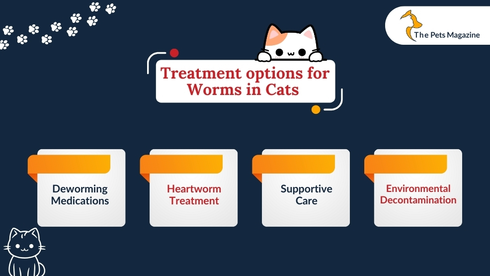 Treatment options for worms in cats