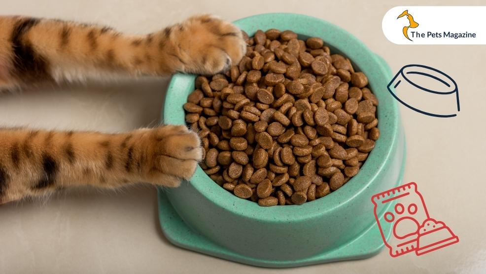 What is Dry Cat Food