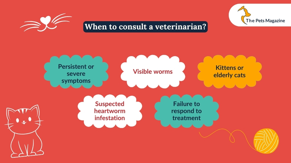 When to consult a veterinarian