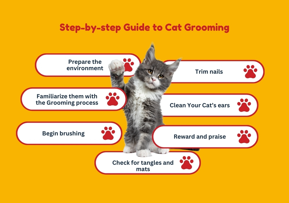 Step-by-step Guide to Cat Grooming