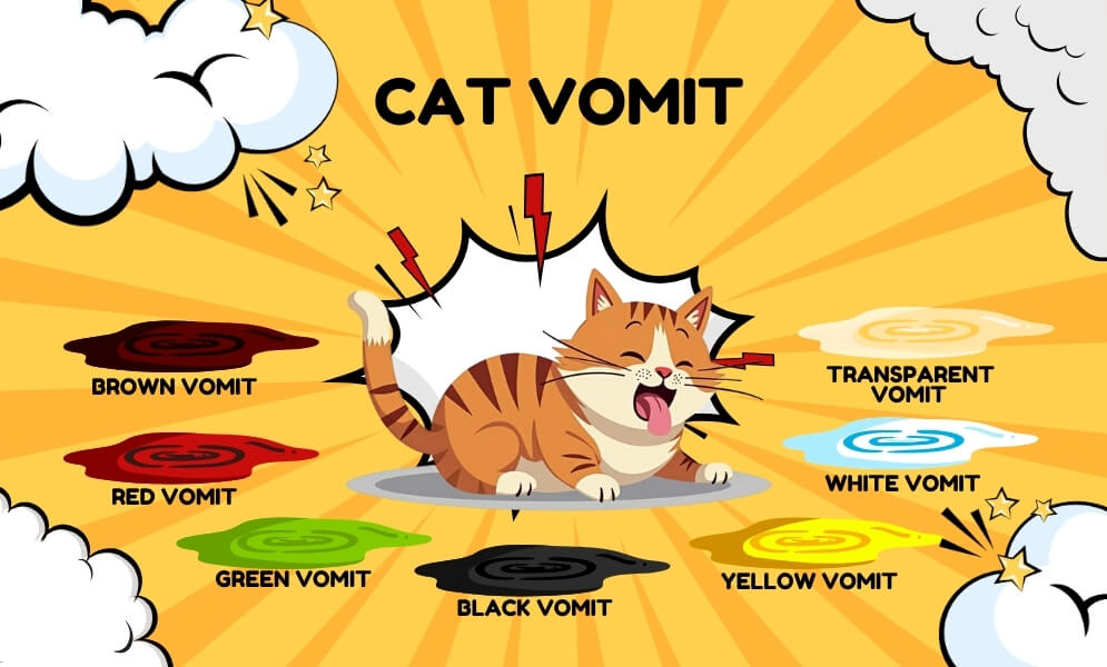 cat vomit color chart