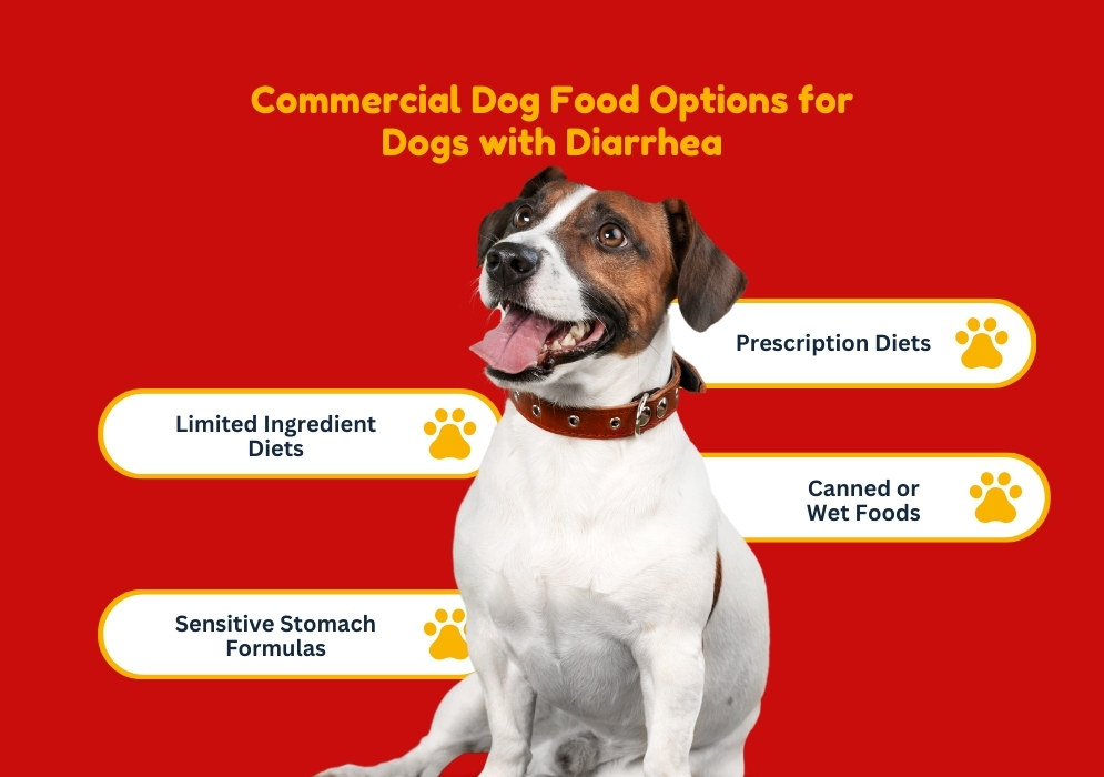 Commercial Dog Food Options for Dogs with Diarrhea