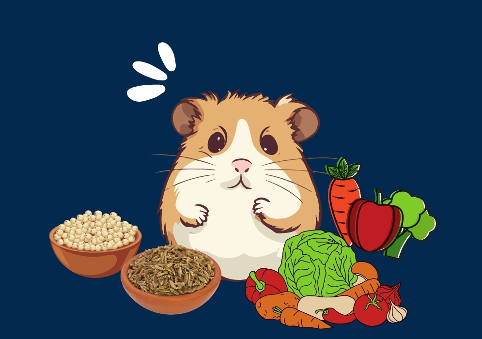 Homemade hamster food recipes