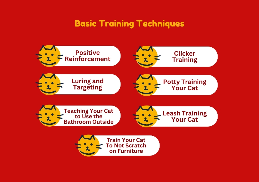 How To Train A Cat_ Basic Training Techniques