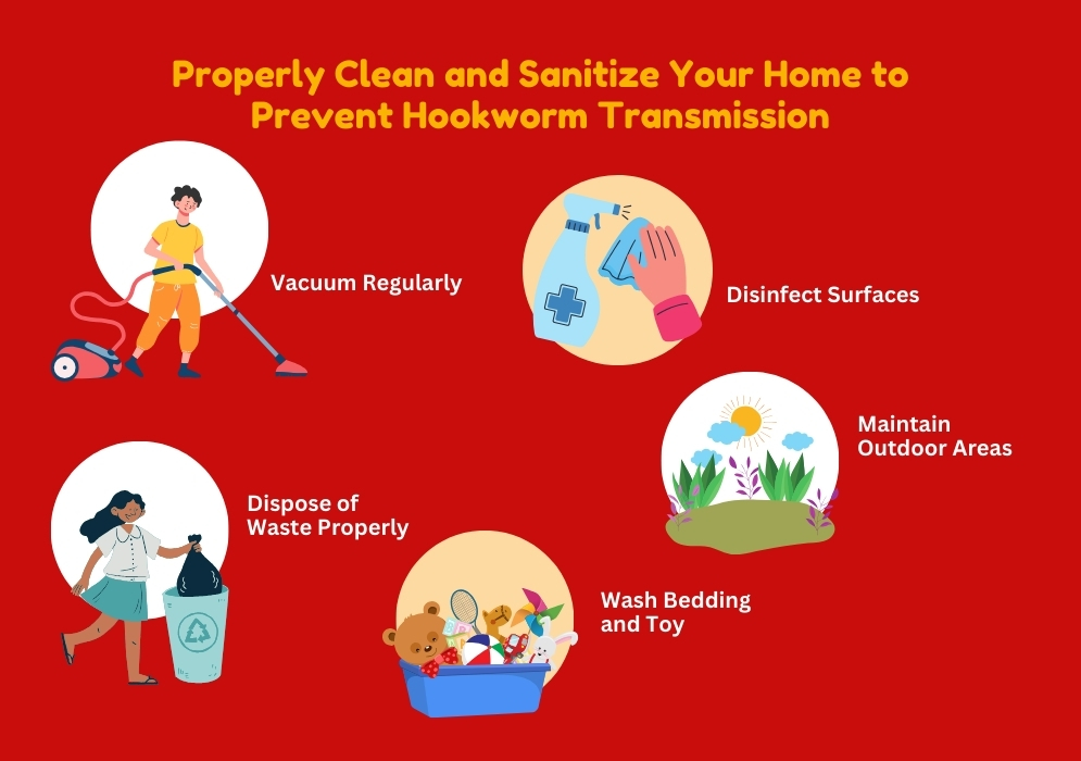 How to Properly Clean and Sanitize Your Home to Prevent Hookworm Transmission