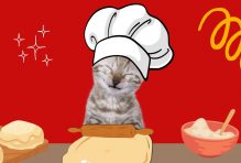 Why Do Cats Knead