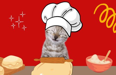 Why Do Cats Knead