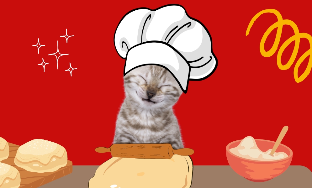 Why Do Cats Knead