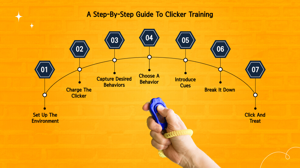 A Step-by-Step Guide to Clicker Training