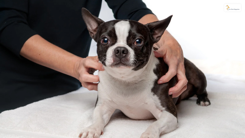 Acupressure-Therapy