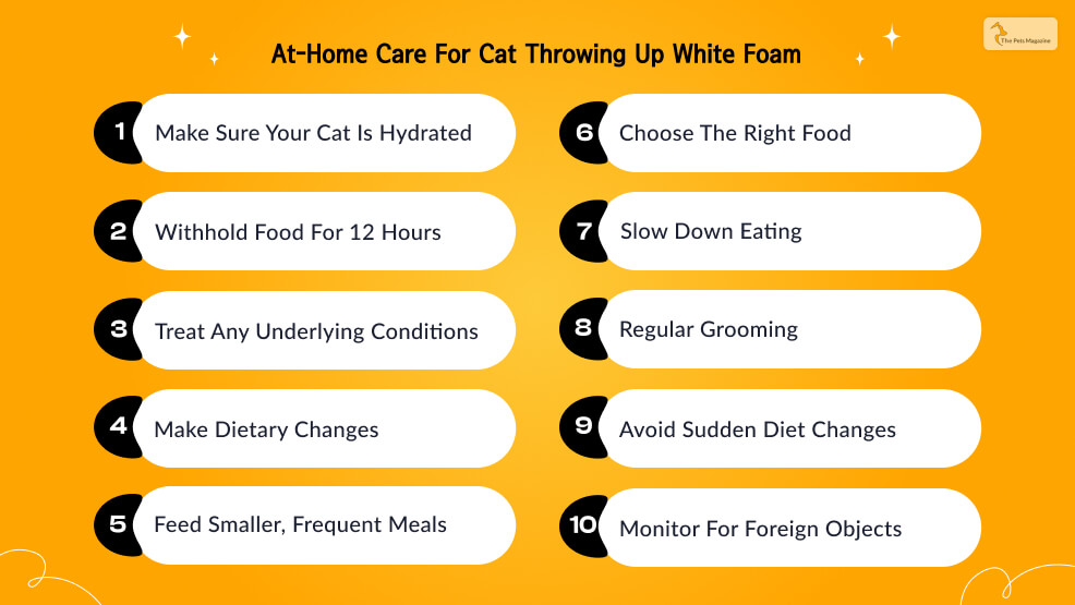 At-Home-Care-for-Cat-Throwing-Up-White-Foam