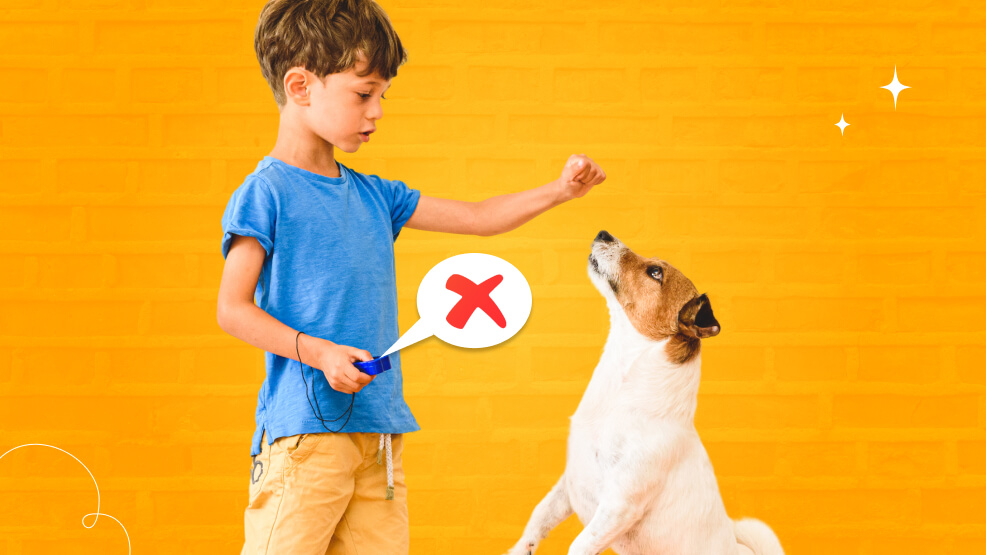 Common mistakes to avoid in clicker training