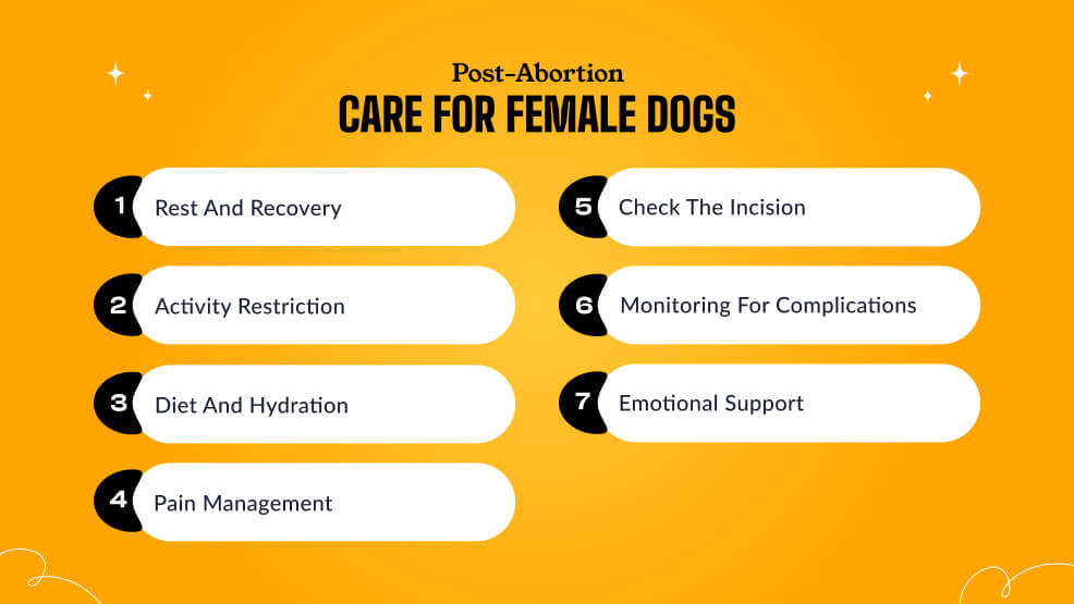 Post-abortion care for female dogs