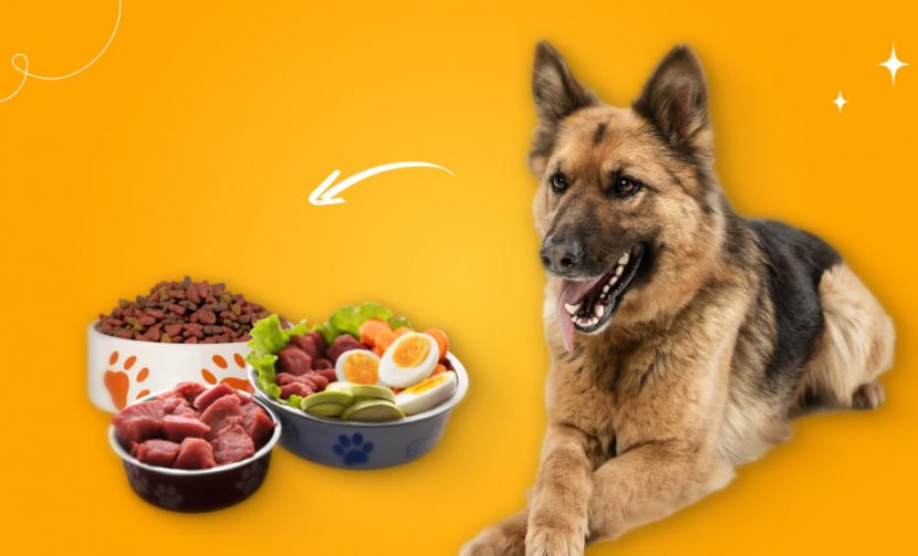 German Shepherd Food