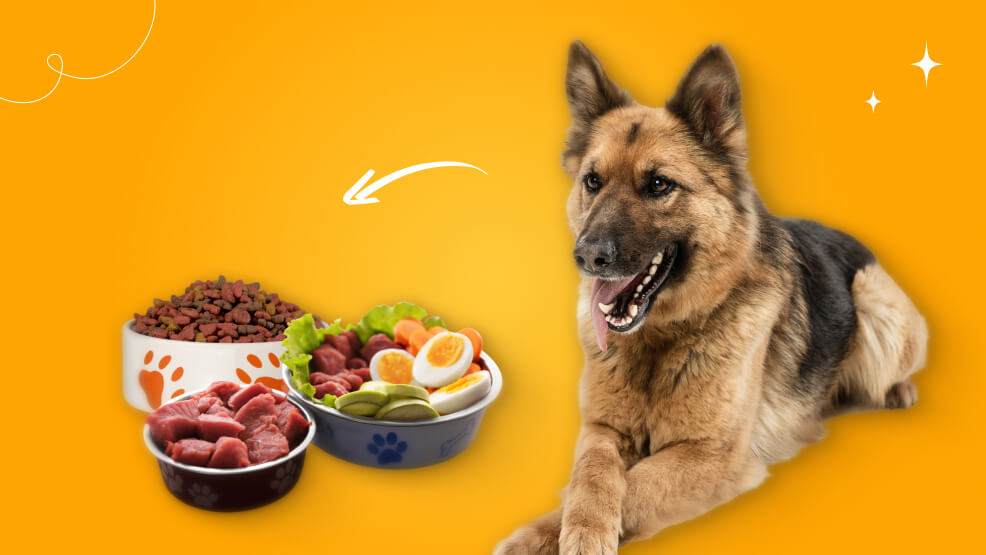 German Shepherd Food