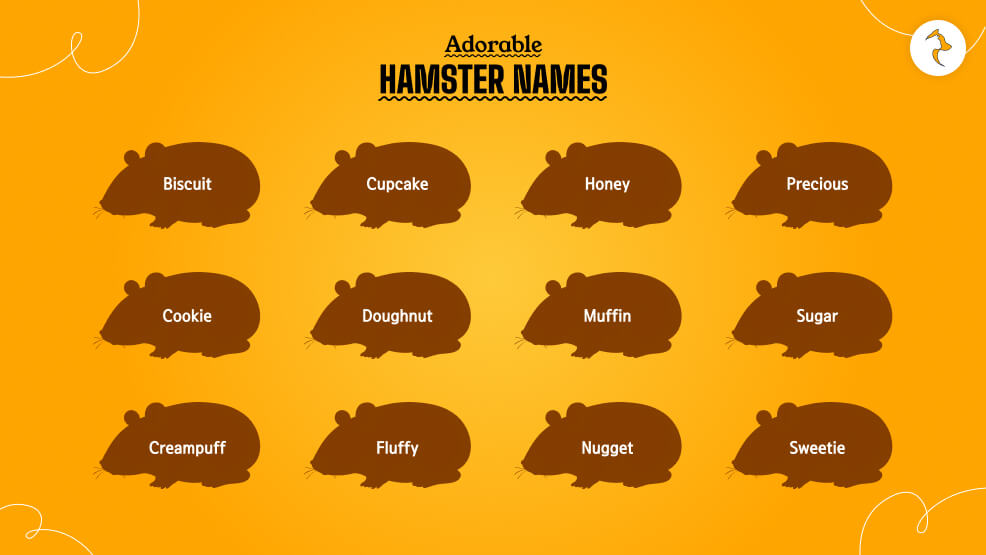 Adorable-Hamster-Names