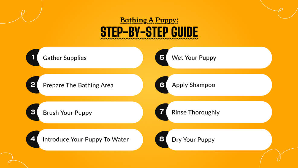 Bathing a puppy_ Step-by-step guide