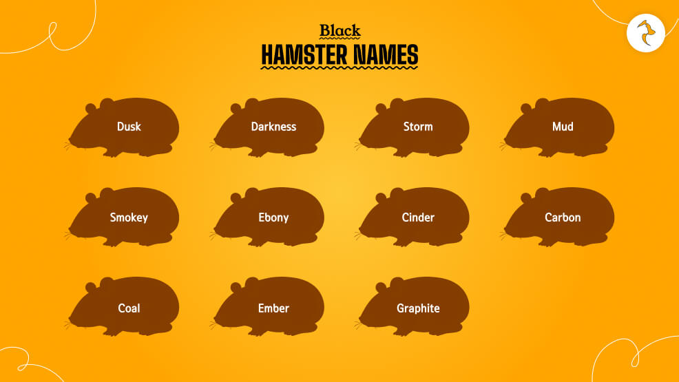 Black-Hamster-Names