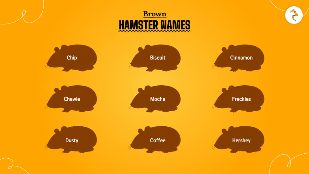 Brown-Hamster-Names