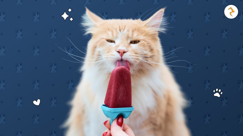 Can Cats Eat Ice Cream