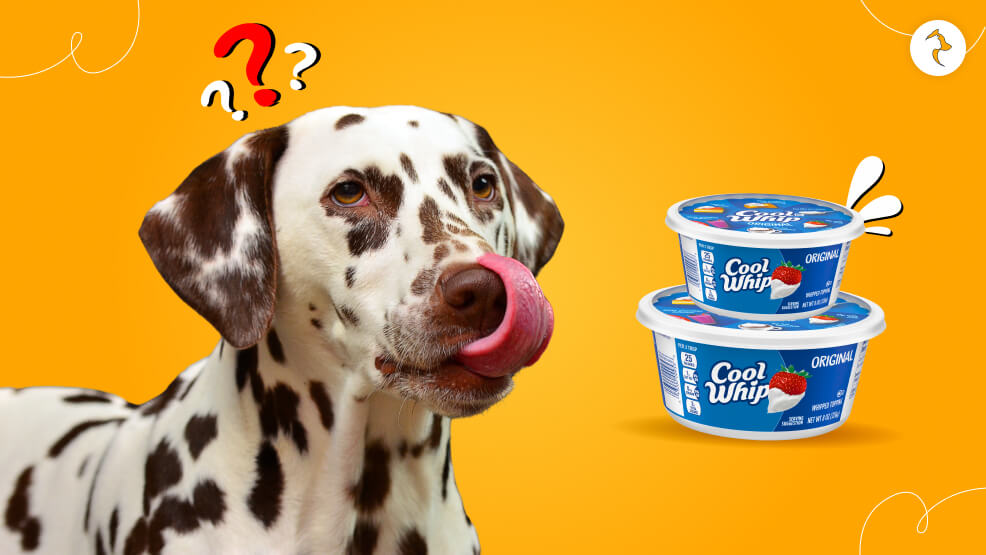 Can Dogs Have Cool Whip