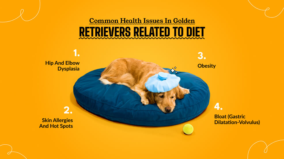 Common health issues in Golden Retrievers related to diet