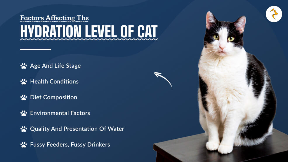 Factors Affecting the Hydration Level of Cat