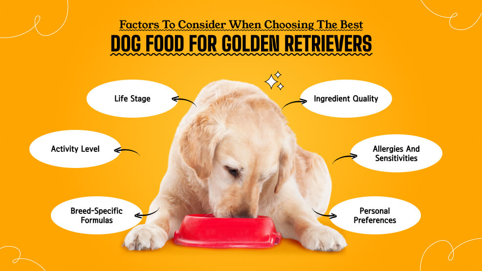 Factors to consider when choosing the best dog food for Golden Retrievers