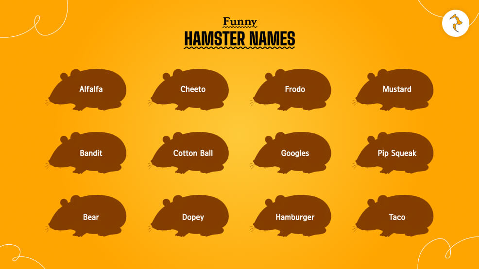 Funny-Hamster-Names