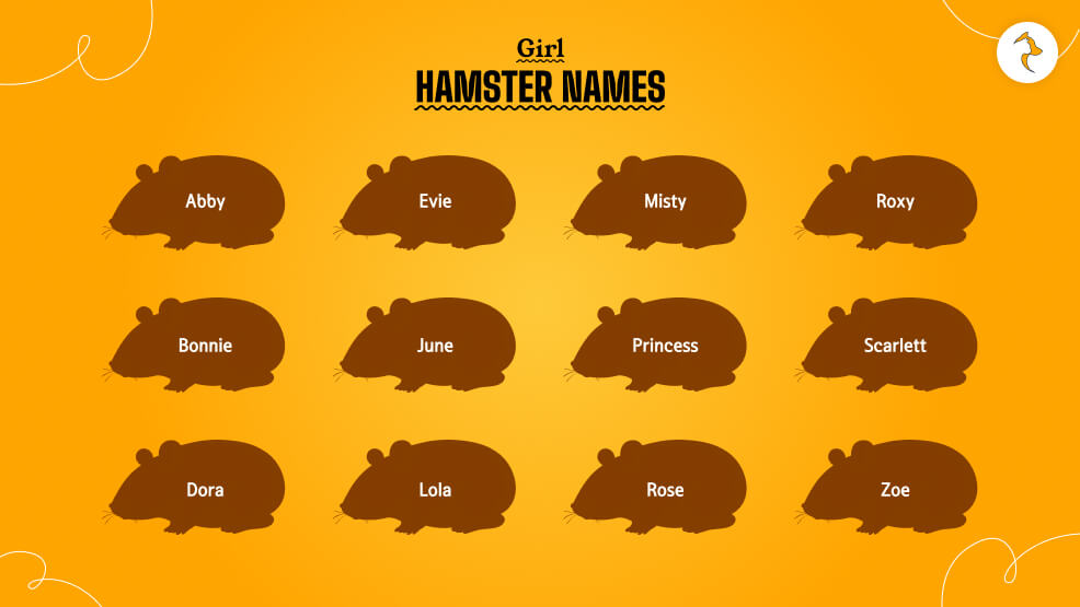 Girl-Hamster-Names