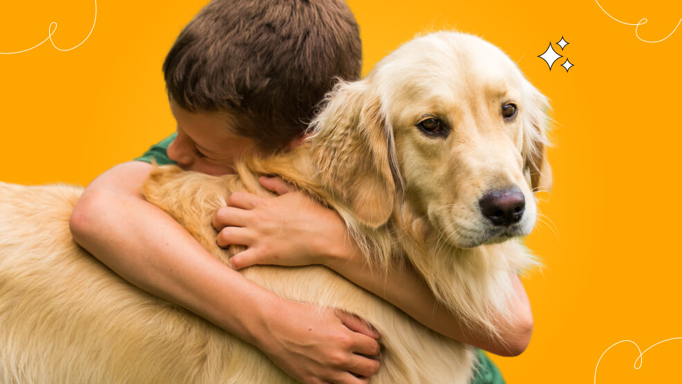 Golden Retrievers as family pets