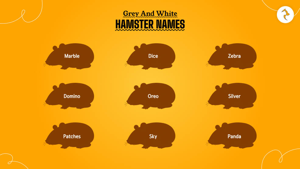 Grey-and-White-Hamster-Names