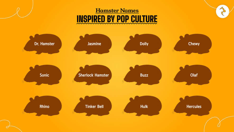 Hamster-Names-Inspired-by-Pop-Culture