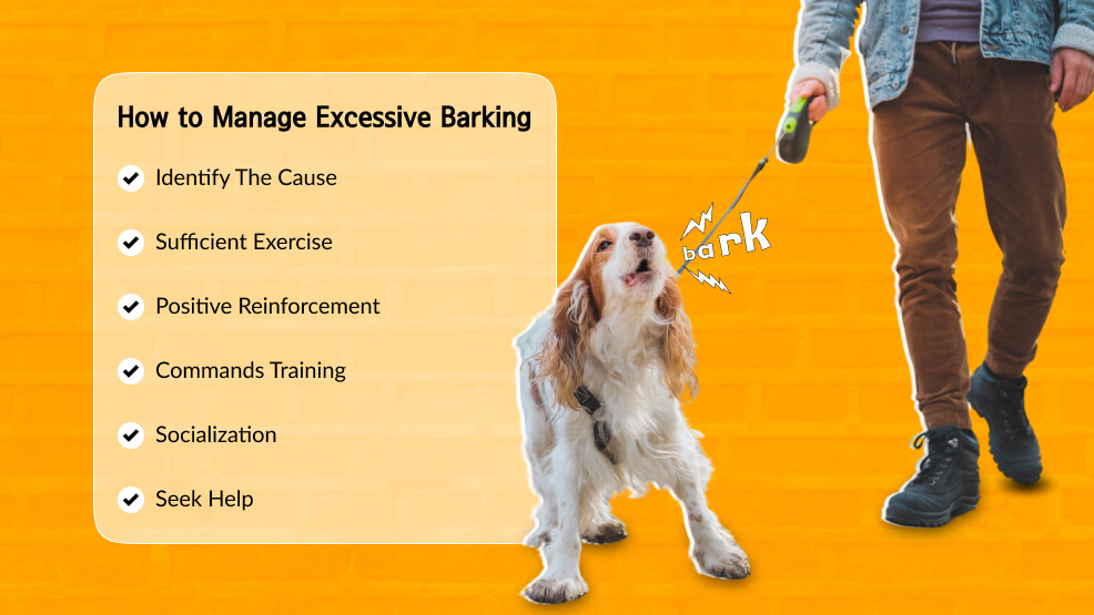 How to Manage Excessive Barking