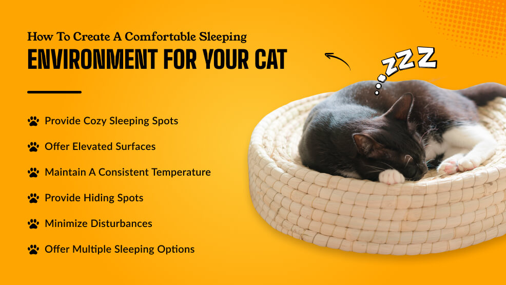 How to create a comfortable sleeping environment for your cat