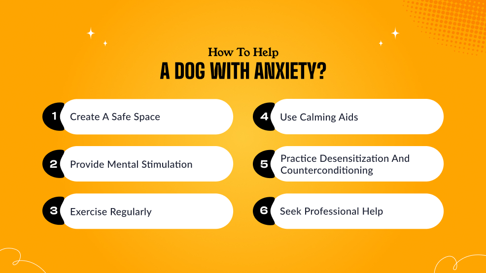 How to help a dog with anxiety_