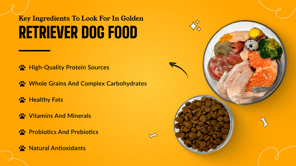 Key ingredients to look for in Golden Retriever dog food