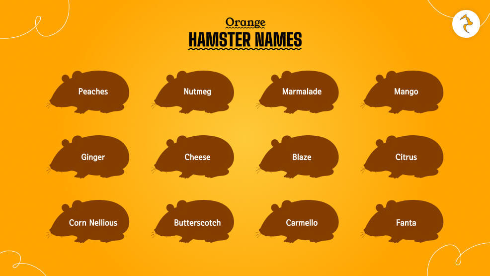 Orange-Hamster-Names