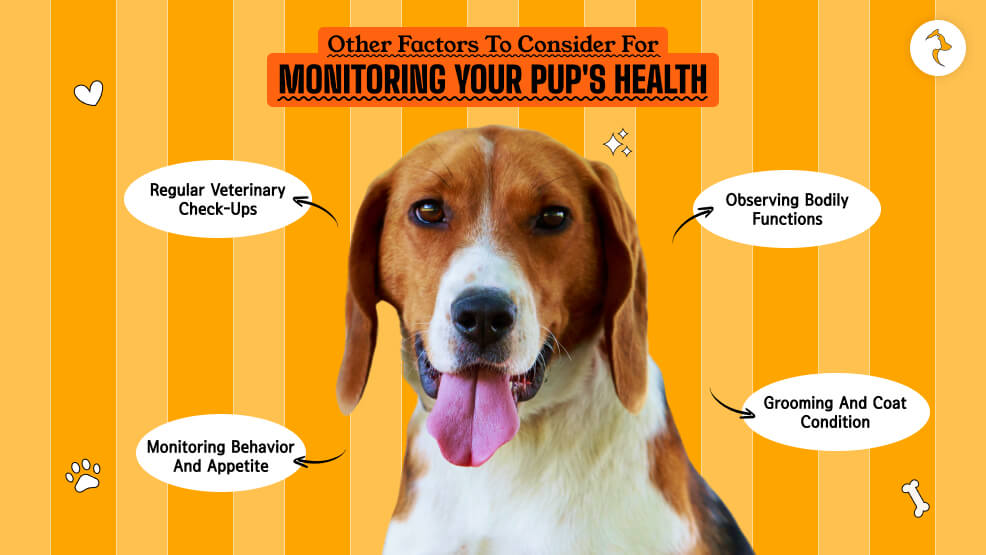 Other factors to consider for monitoring your pup's health