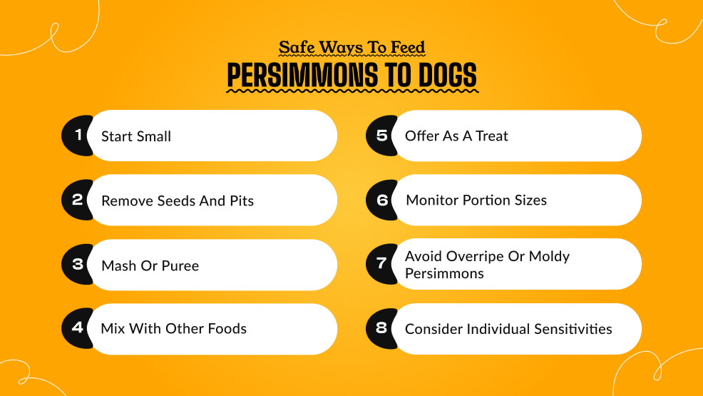 Safe ways to feed persimmons to dogs