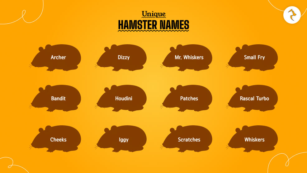 Unique-Hamster-Names