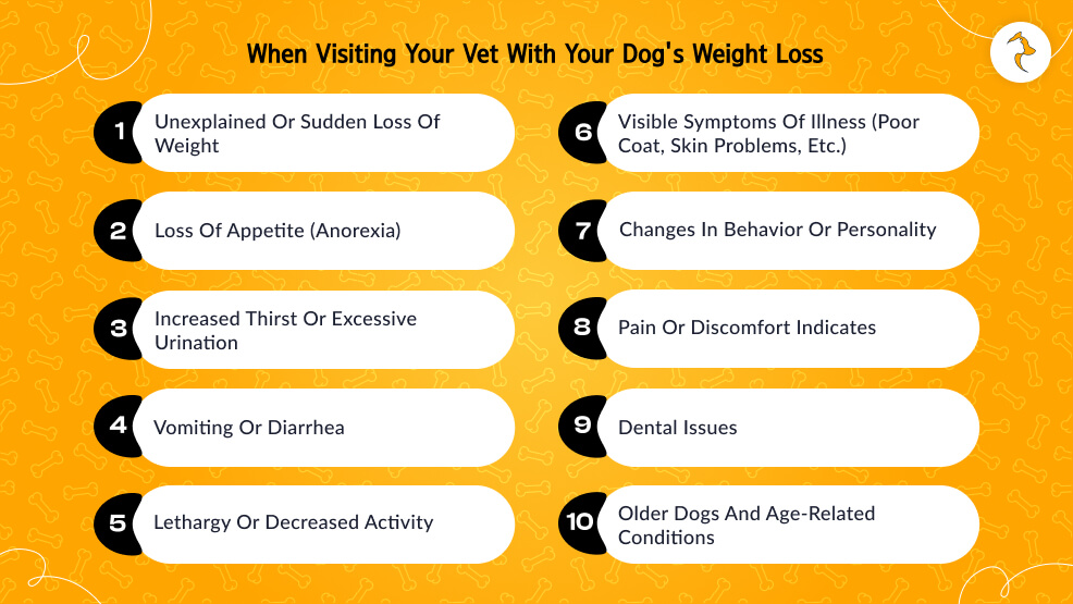 When Visiting Your Vet with Your Dog's Weight Loss