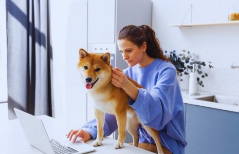 pet care in your will