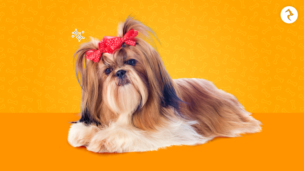 Challenges in Adapting to Different Climates