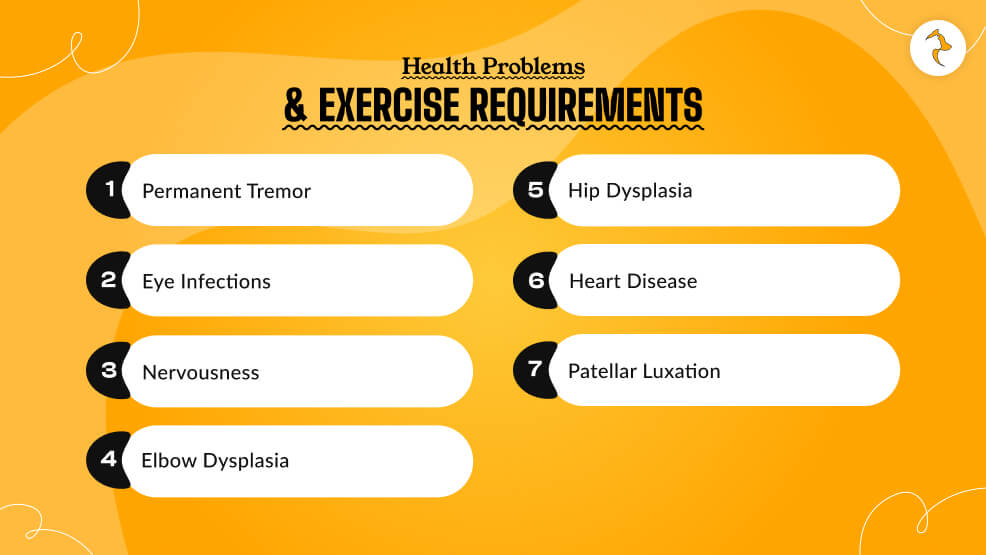 Health Problems & Exercise Requirements