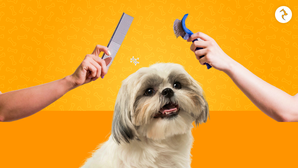 High Maintenance Grooming