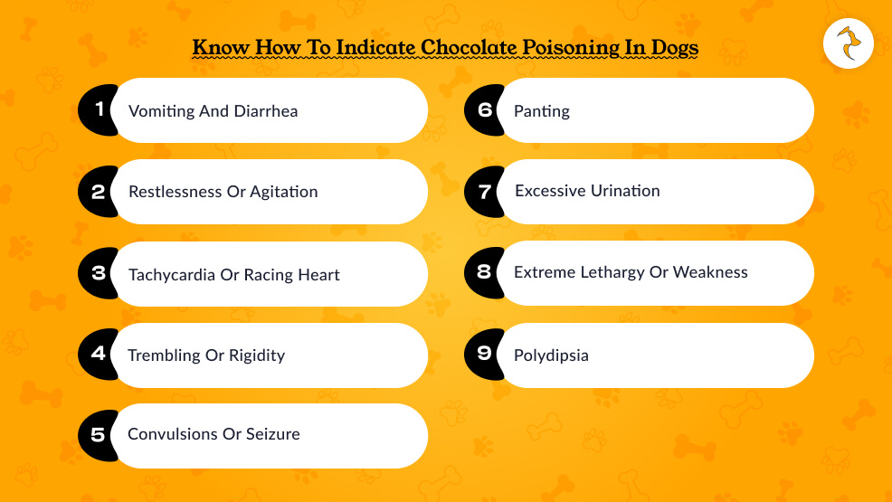 Know How to Indicate Chocolate Poisoning in Dogs